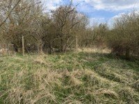 Hauptbild Natur pur in Neustadt-Glewe: Gro�z�giges Gartengrundst�ck f�r Individualisten!