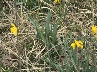 Garten Grundst�ck Neustadt-Glewe