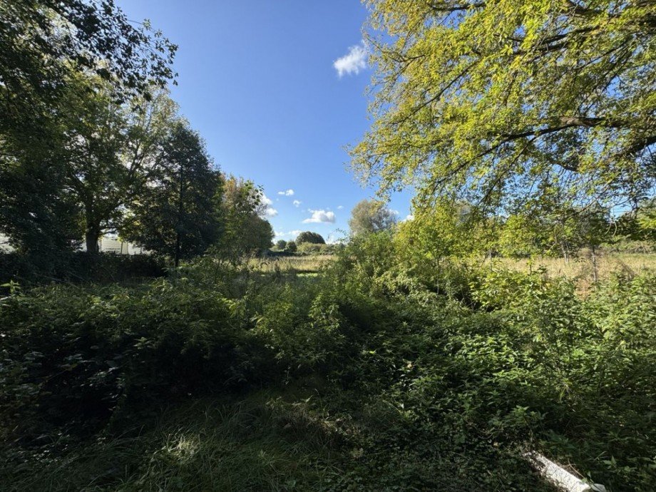 Wiese Haus L�btheen