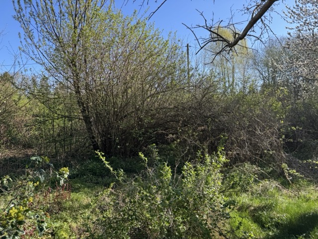 Garten Grundst�ck Grabow