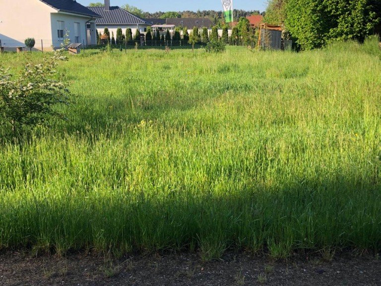PHOTO 2021 05 28 07 26 23 2 Gro� Laasch Grundst�ck Leben Sie Ihren Traum- leben nahe der Barockstadt Ludwigslust