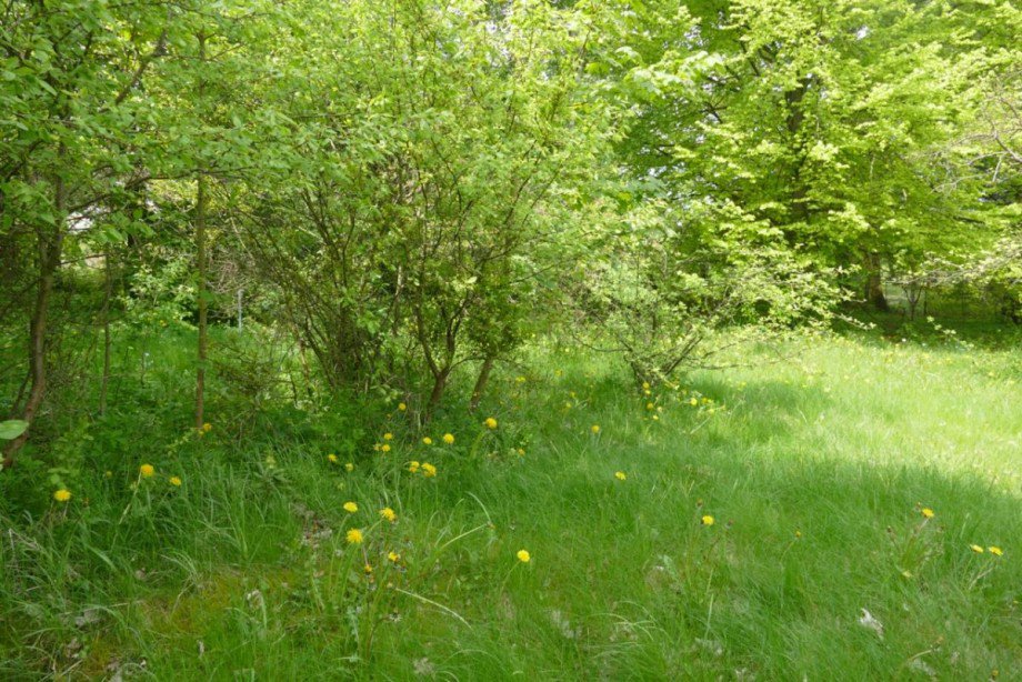 Grundst�ck Freizeitgrundst�ck Waren