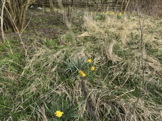 Garten Grundst�ck Neustadt-Glewe