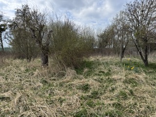 Garten Grundst�ck Neustadt-Glewe