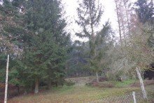 Grundst�ck Einfamilienhaus mit Waldrandlage in Gro� Laasch