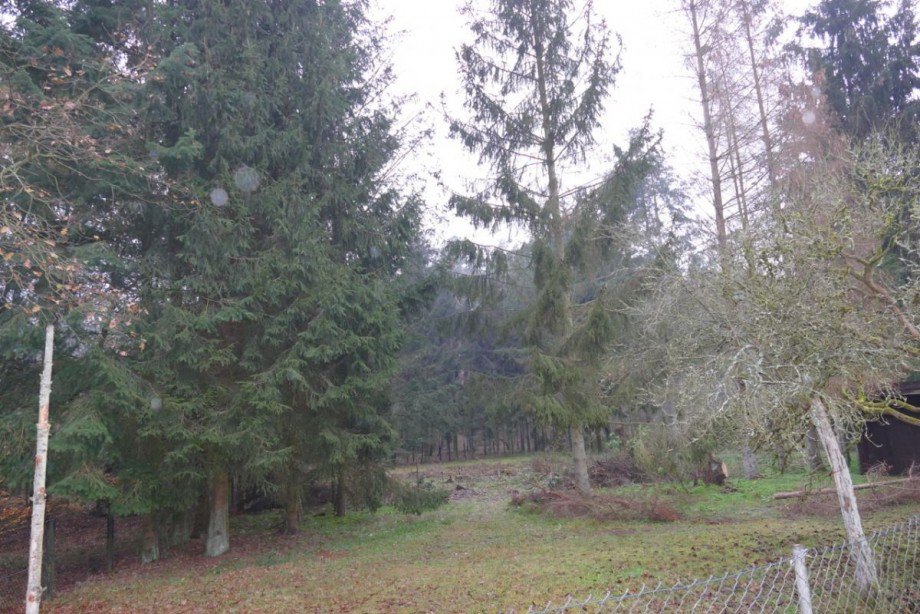 Grundst�ck Haus Gro� Laasch
