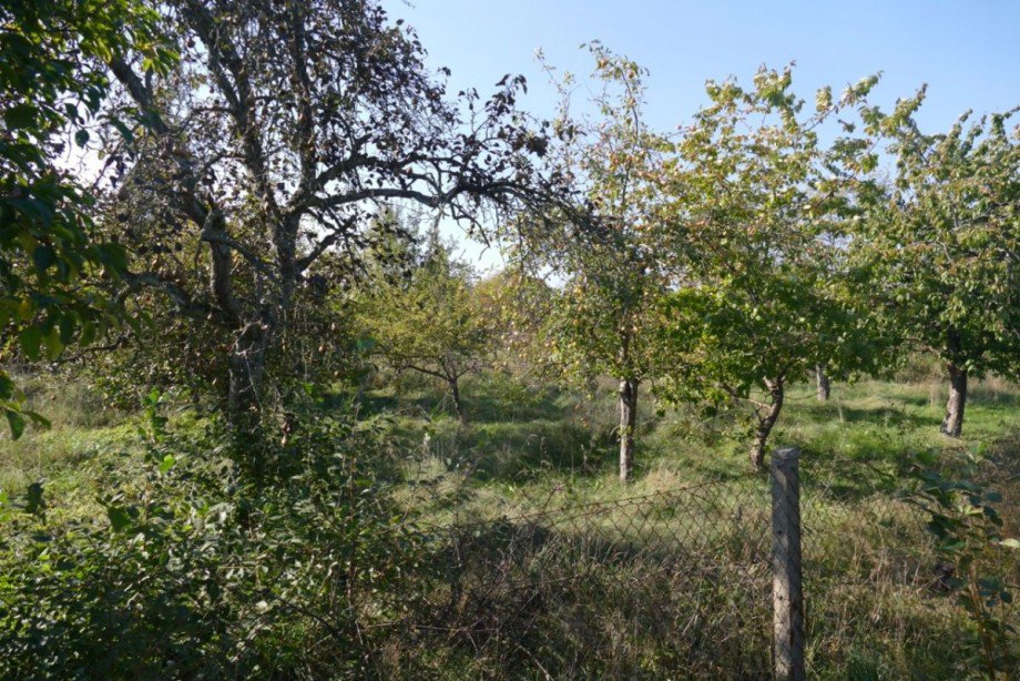 Grundst�ck Einfamilienhaus Kummer