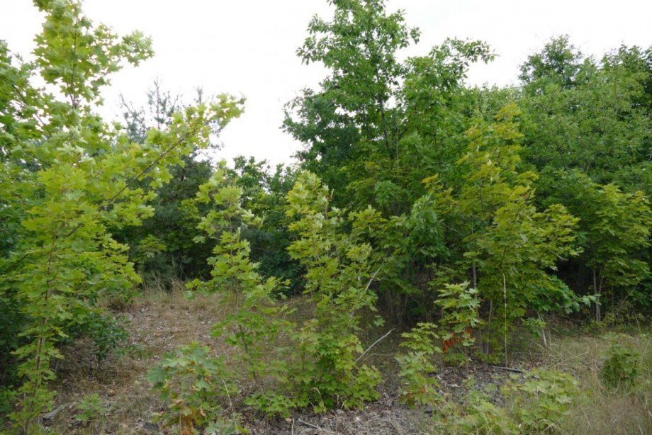Bauland Grundst�ck Ludwigslust