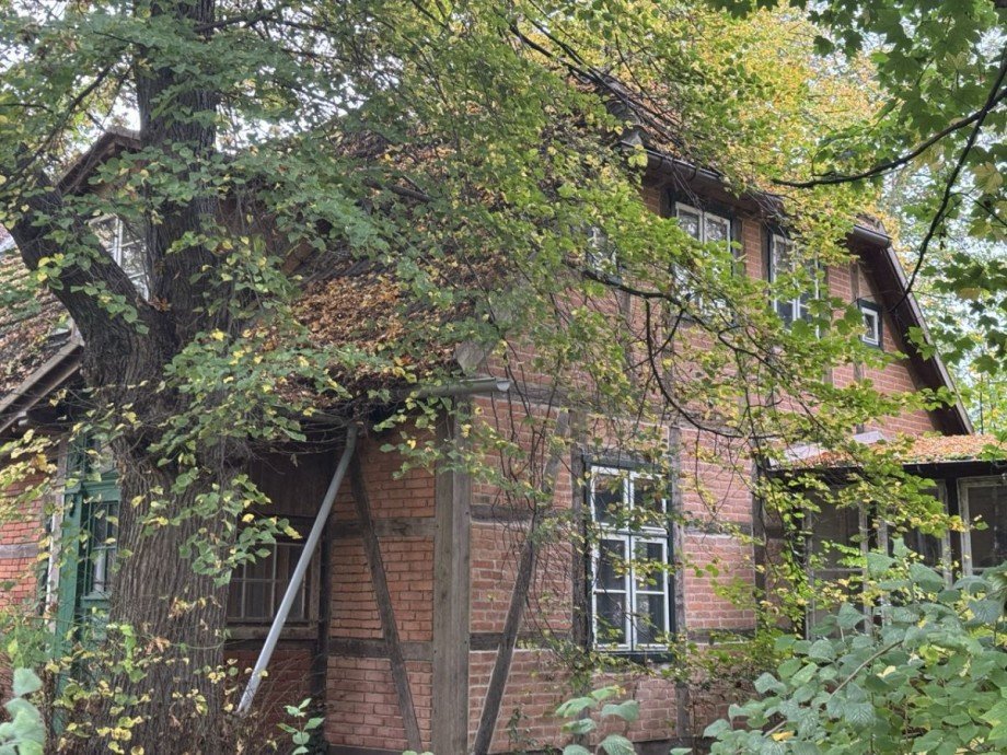 Hausansicht Haus L�btheen