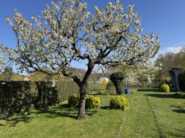Garten Freizeitgrundst�ck Grabow