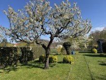 Garten Gartenhaus in Grabow � Hohe Substanz & viel Platz