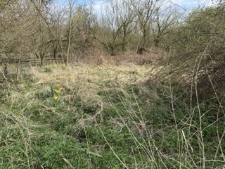 Garten Grundst�ck Neustadt-Glewe