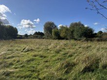Wiese Charmantes Fachwerkhaus im Gr�nen