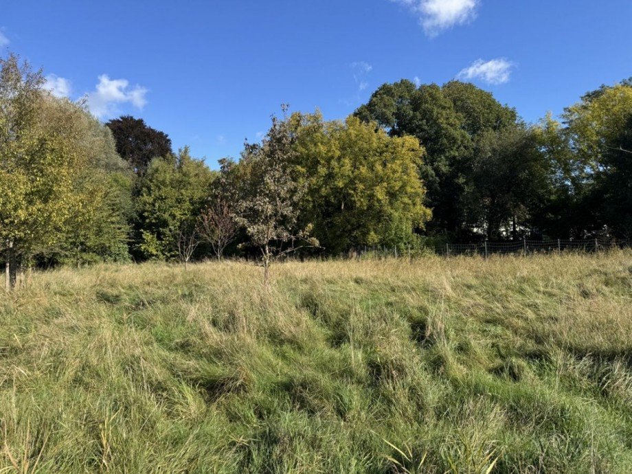 Wiese Haus L�btheen