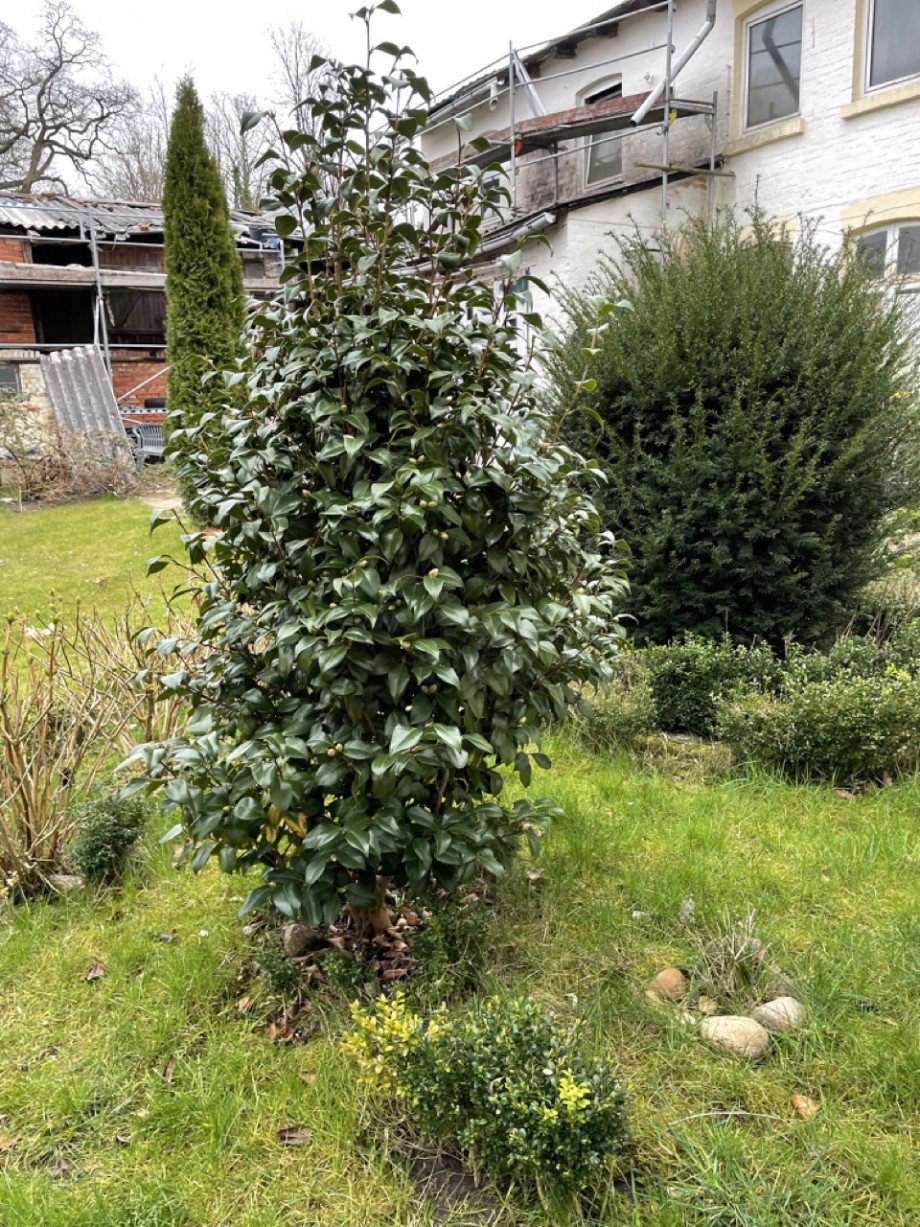 Grundst�ck Mehrfamilienhaus Grabow