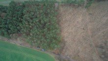 Wald 4,7 Hektar Mischwald bei L�blow / W�bbelin zu verkaufen