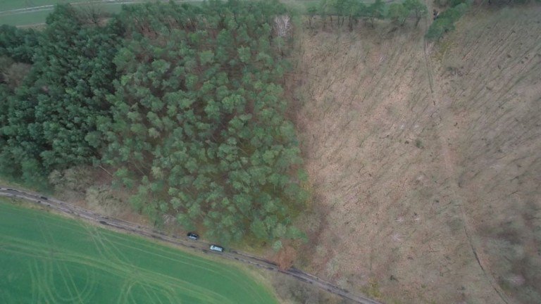 Wald L�blow Land- / Forstwirtschaft - Grdst. 4,7 Hektar Mischwald bei L�blow / W�bbelin zu verkaufen