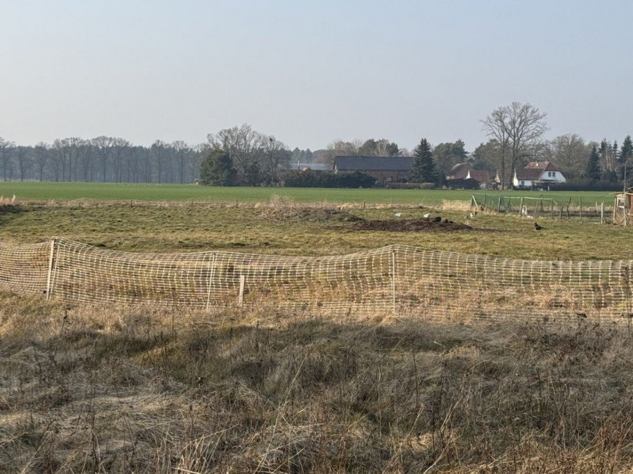Grundst�ck Wohngrundst�ck D�mitz (Ortsteil Heidhof)