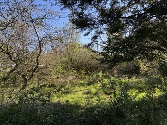 Garten Grundst�ck Grabow