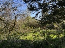 Garten Idyllisches Waldrand-Grundst�ck in Grabow � 948 m� mit Entwicklungspotenzial & Bestand