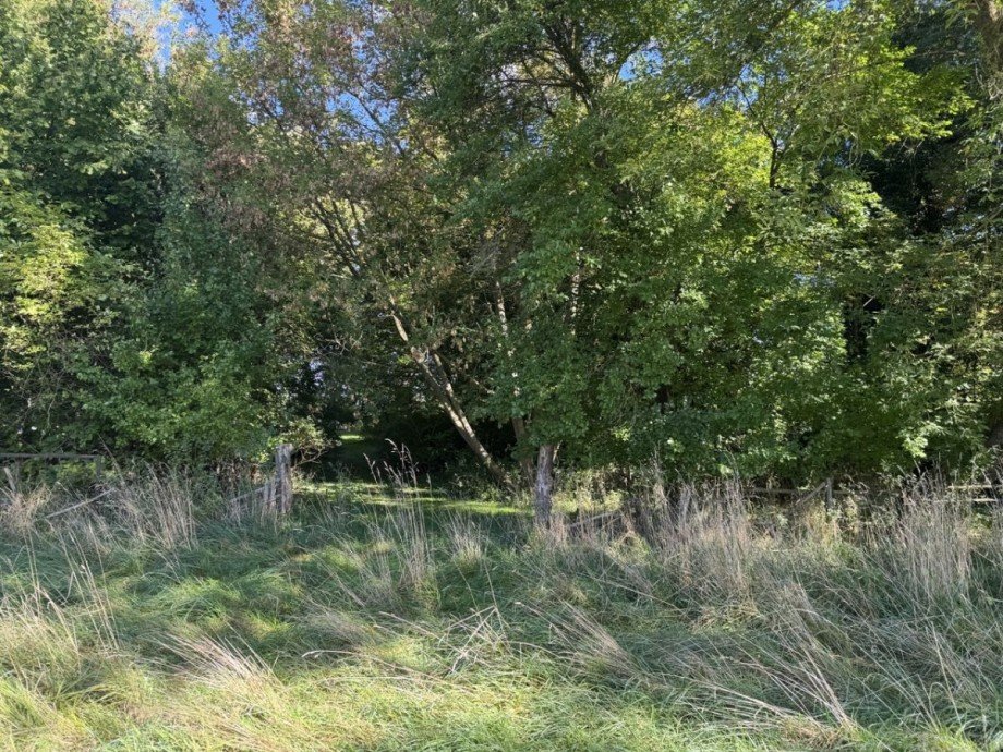 Wiese Haus L�btheen