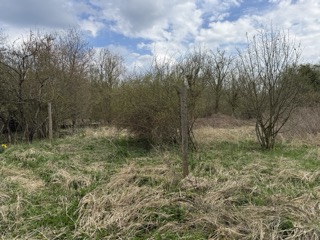 Garten Grundst�ck Neustadt-Glewe