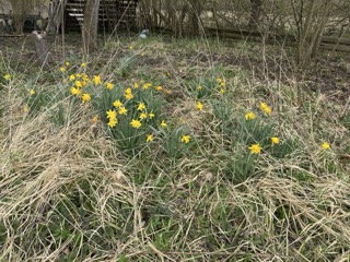 Garten Grundst�ck Neustadt-Glewe