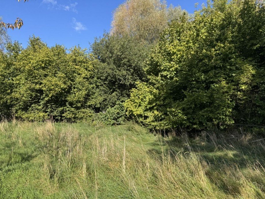 Wiese Haus L�btheen