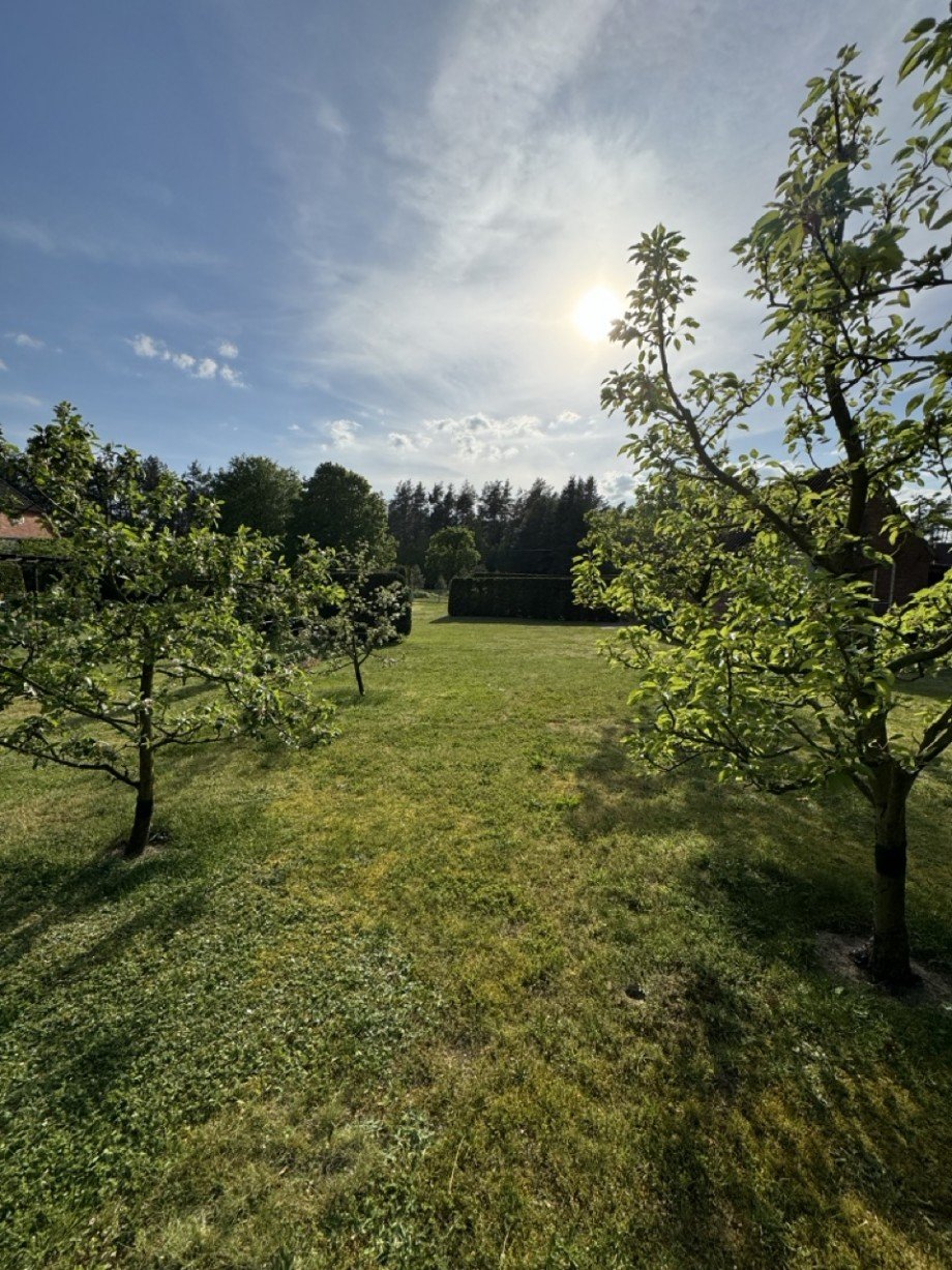 Grundstu Einfamilienhaus Vielank