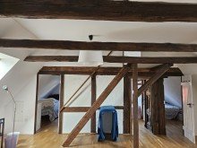 Wohnraum im DG Einfamilienhaus in Grebs mit Sauna,Terrasse und 3 B�der