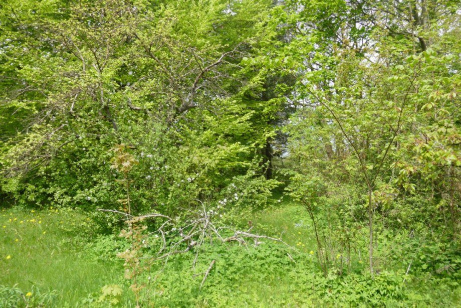 Grundst�ck Freizeitgrundst�ck Waren