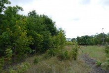 Bauland Baugrundst�ck in Ludwigslust, geeignet f�r Bautr�ger und Investoren
