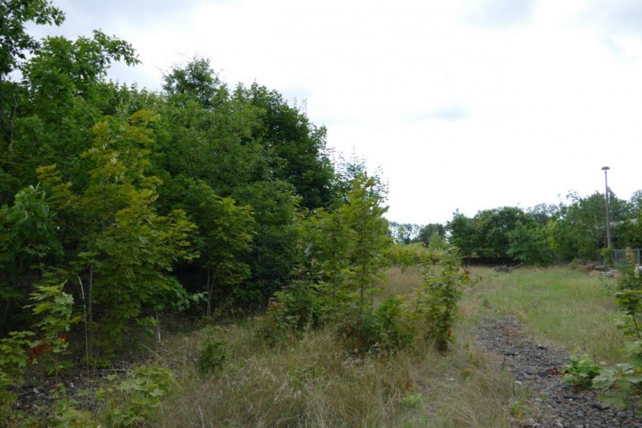 Bauland Grundst�ck Ludwigslust