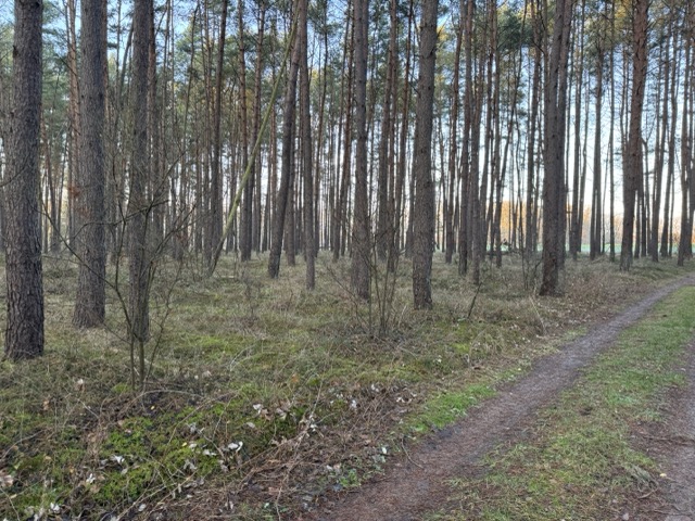 Wald 8, 769 Haus Eldena