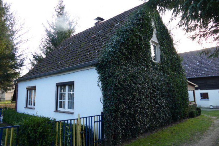 Hausansicht Melkof Einfamilienhaus Einfamilienhaus mit Stall auf gro�em Grundst�ck