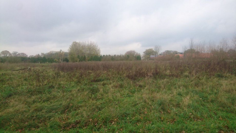 Grundst�ck Wohngrundst�ck Gro� Krams