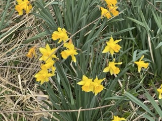 Garten Grundst�ck Neustadt-Glewe