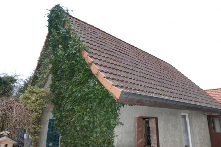 Hausansicht Einfamilienhaus Redefin