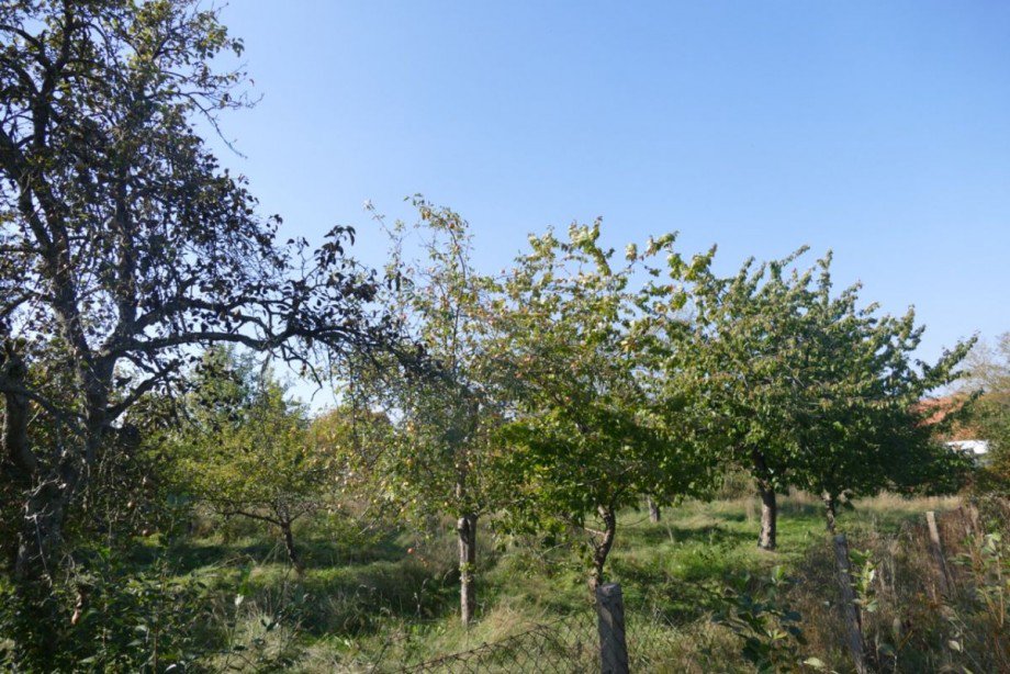 Grundst�ck Einfamilienhaus Kummer