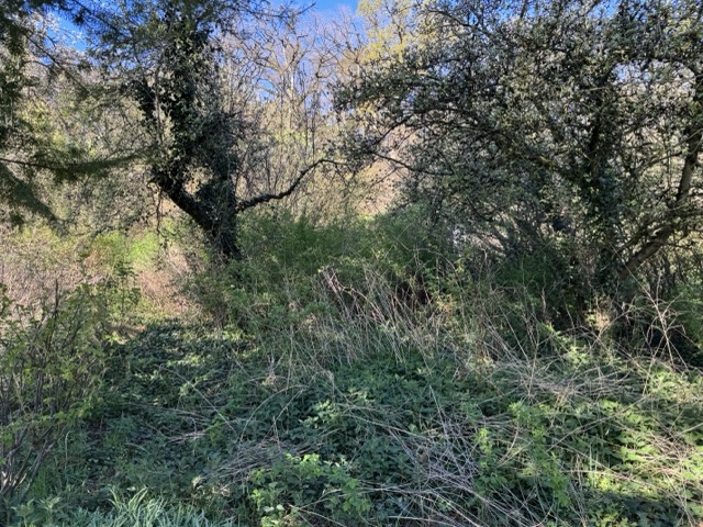 Garten Grundst�ck Grabow