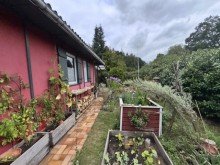 Hausansicht Ferienbungalow im Wald auf Pachtland