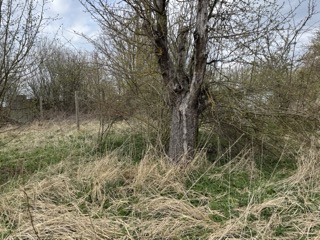 Garten Grundst�ck Neustadt-Glewe