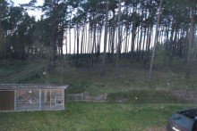 Aussicht Haush�lfte mit Waldrandlage in Fresenbr�gge bei Grabow