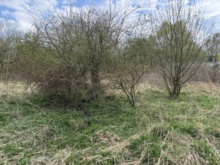 Garten Grundst�ck Neustadt-Glewe