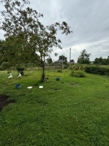 Garten Einfamilienhaus zum kleinen Preis