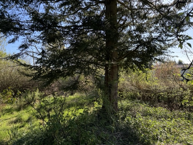 Garten Grundst�ck Grabow