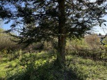 Garten Idyllisches Waldrand-Grundst�ck in Grabow � 948 m� mit Entwicklungspotenzial & Bestand