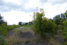Bauland Baugrundst�ck in Ludwigslust, geeignet f�r Bautr�ger und Investoren