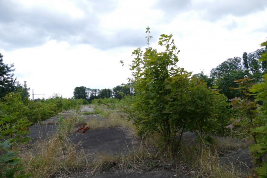 Bauland Grundst�ck Ludwigslust