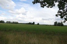 Aussicht auf Feld Einfamilienhaus mit Terrasse auf gro�em Grundst�ck